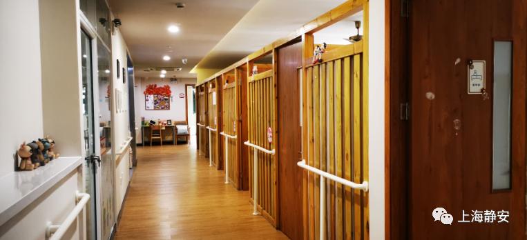 醫療、康復、生活照料……這些需求在家門口就能解決！靜安這里正打造“沒有圍墻的養老院”(圖4)